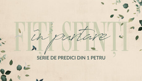 FS-1 Petru-Grafica SD